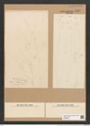 Desmogonium gracile Eul. (de-Toni-Nr.: Genus 71, Species 2704) Zeichnungen Sammlung Grunow Nr. 5542 (NHMW-BOT-W0373997)